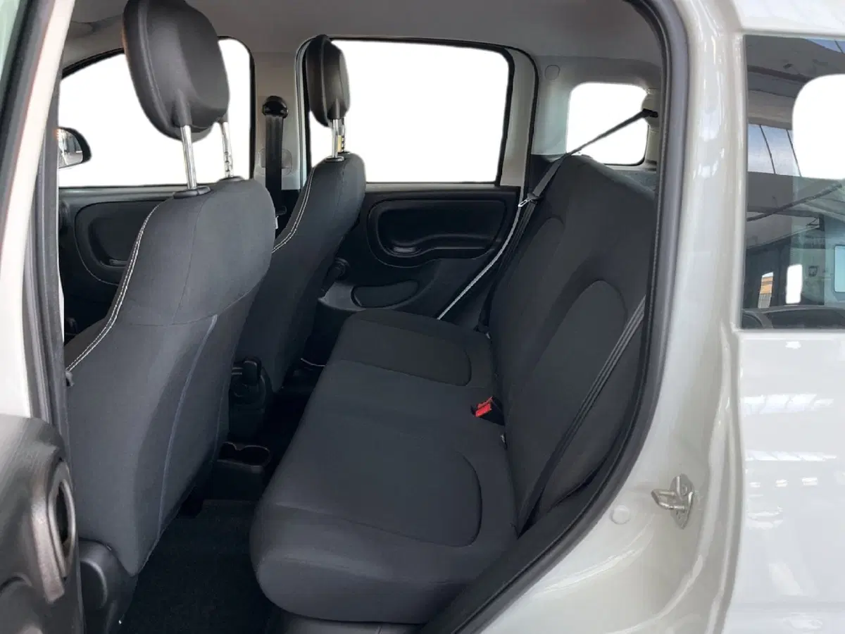 Fiat Panda Cross usata a Torino (7)
