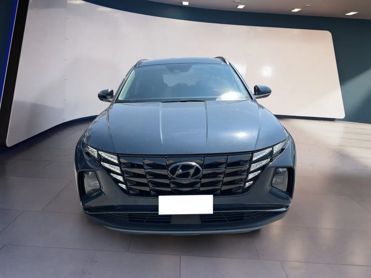 Hyundai Tucson usata a Torino
