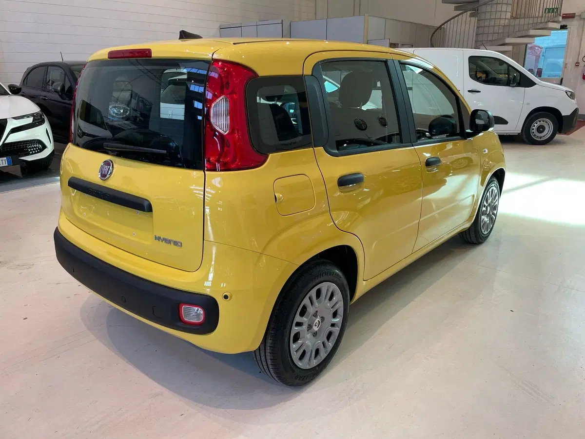 Fiat Pandina nuova a Reggio Emilia (2)