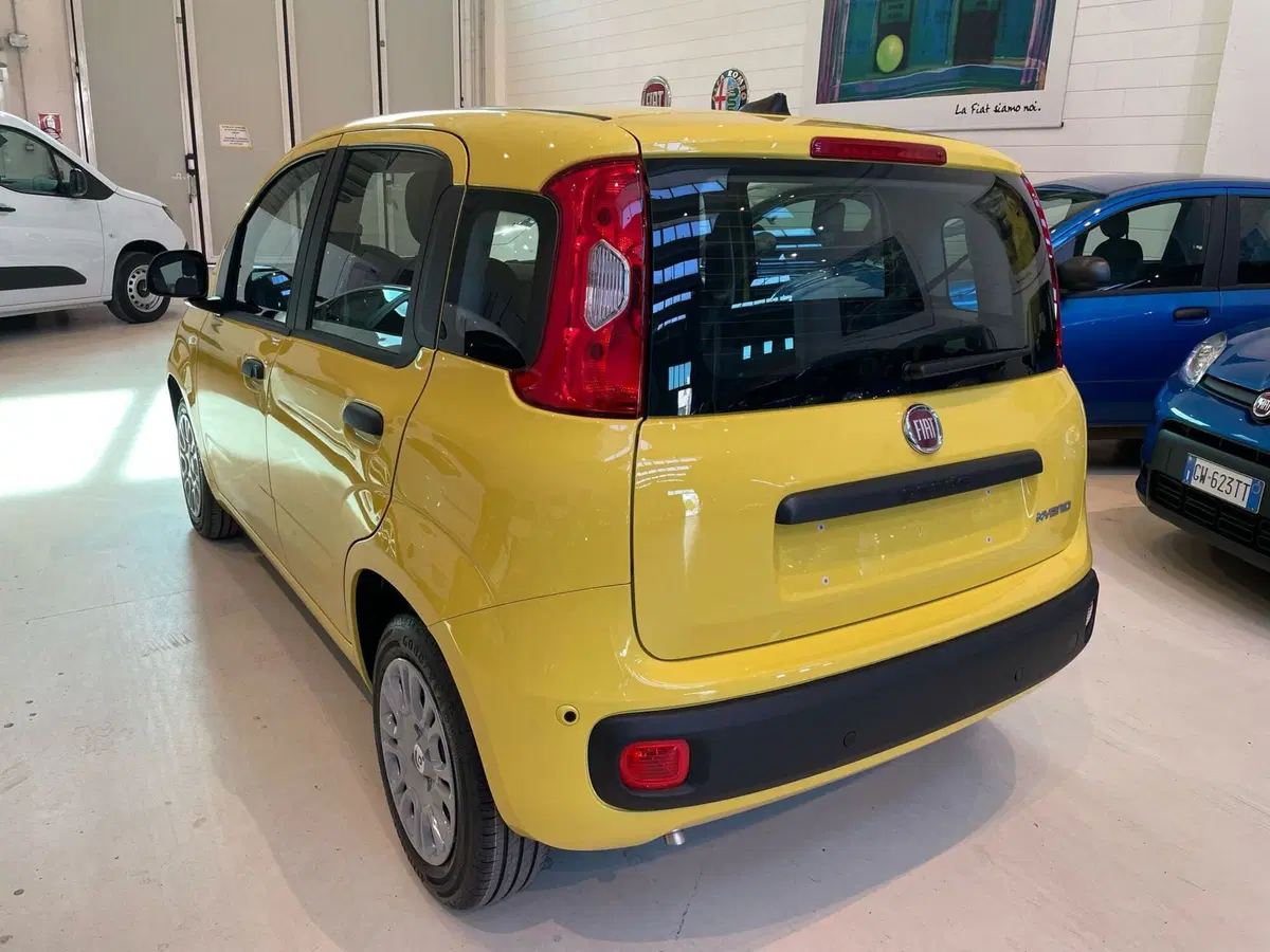Fiat Pandina nuova a Reggio Emilia (4)