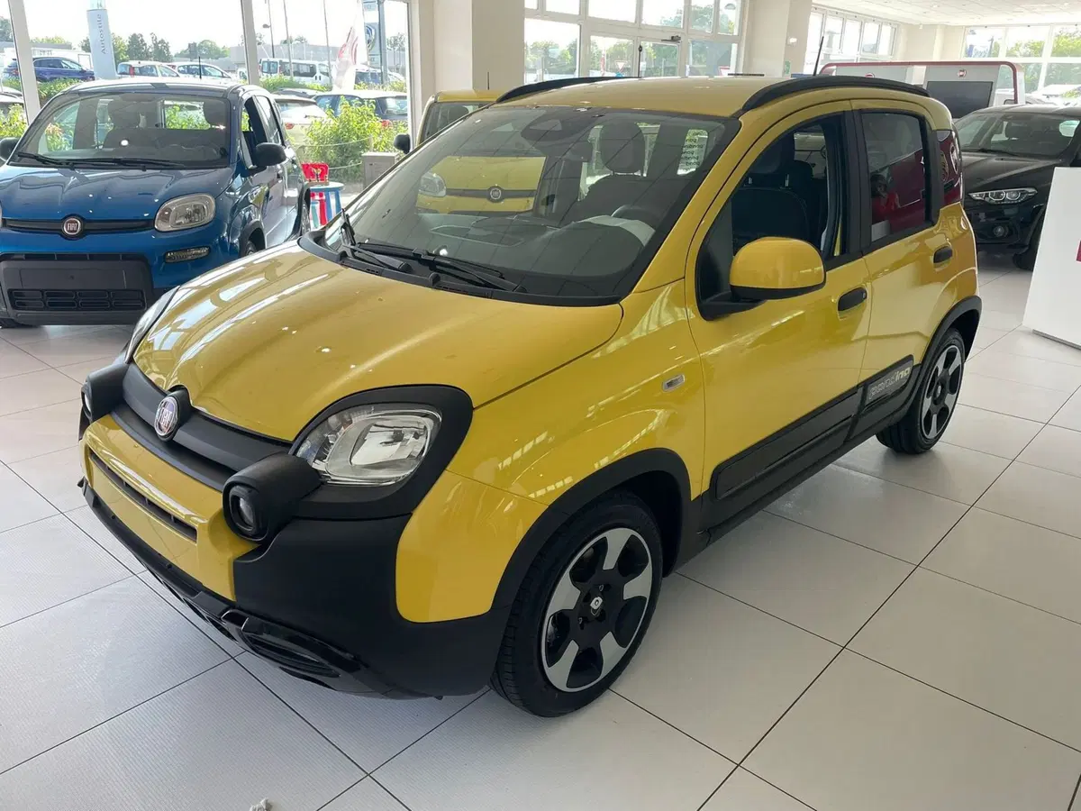 Fiat Pandina nuova a Reggio Emilia (4)