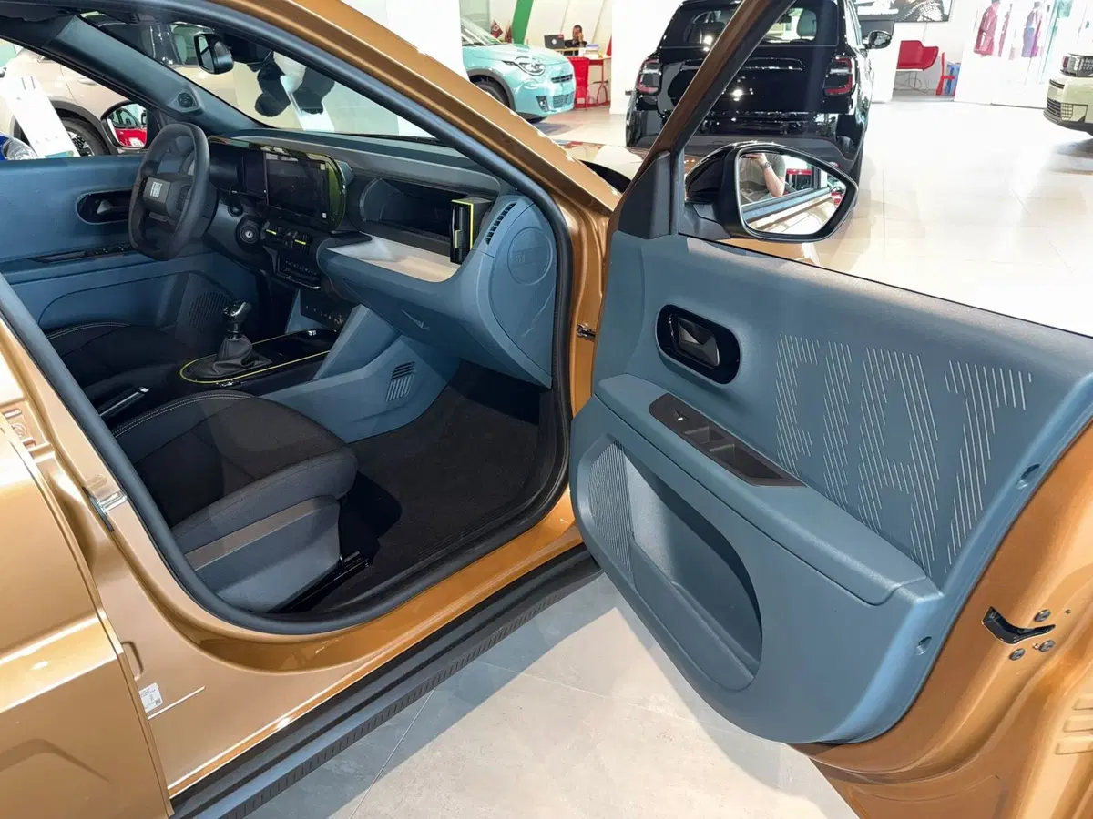Fiat Grande Panda nuova a Reggio Emilia (11)