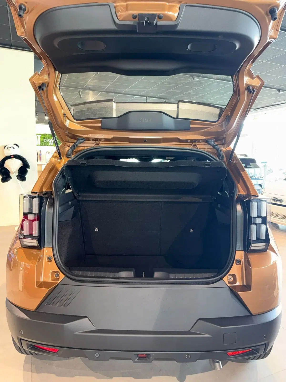 Fiat Grande Panda nuova a Reggio Emilia (20)
