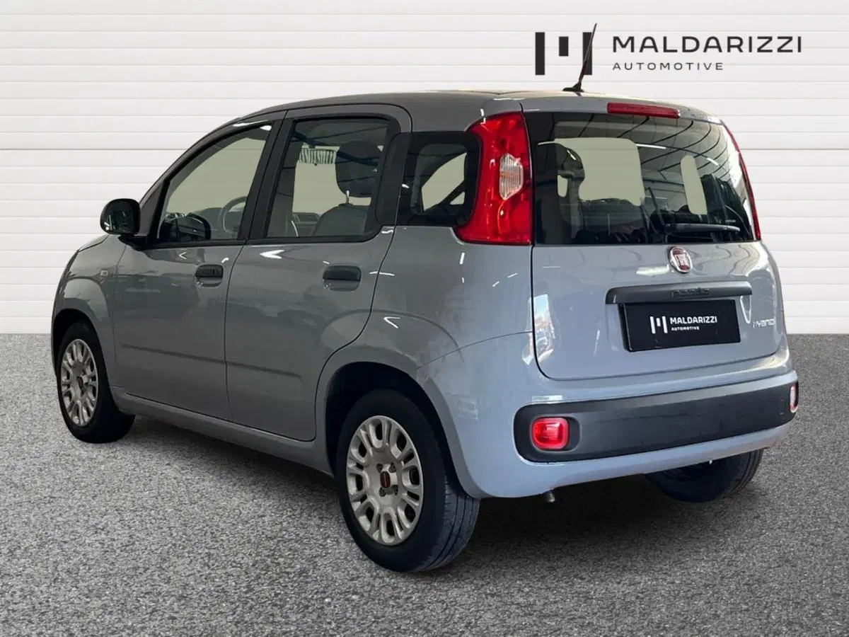 Fiat Panda Cross usata a Bari (4)