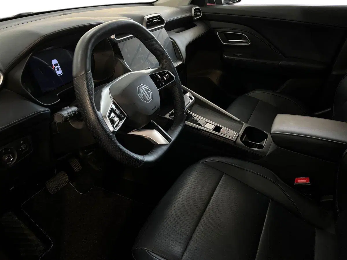 Mg ZS usata a Bari (10)