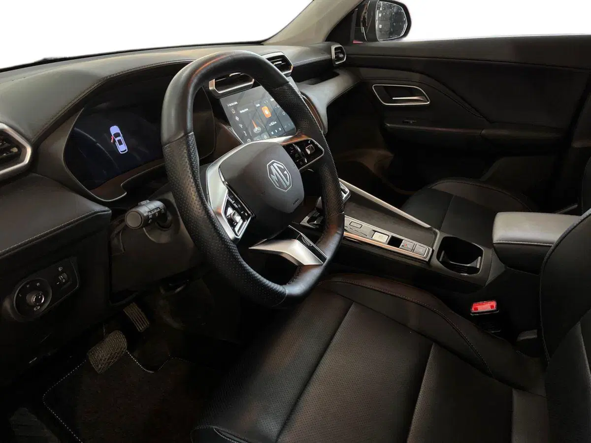 Mg ZS usata a Bari (7)