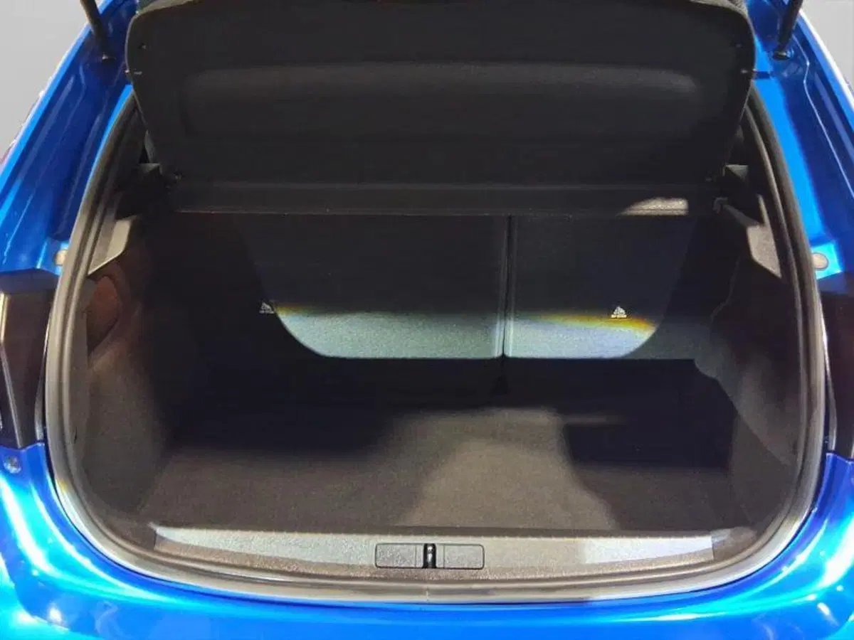Peugeot 208 usata a Genova (17)