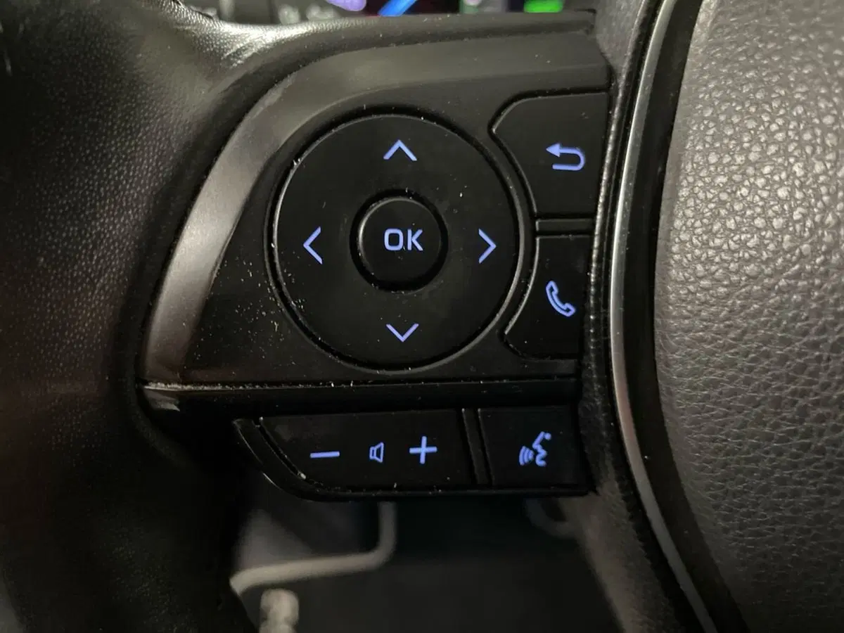 Toyota Rav4 usata a Ancona (20)