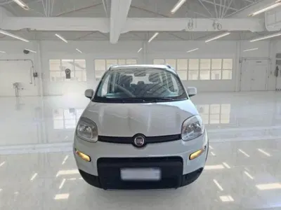 Fiat Panda 1.0 FireFly S&amp;S Hybrid City Cross del 2023 usata a Ancona