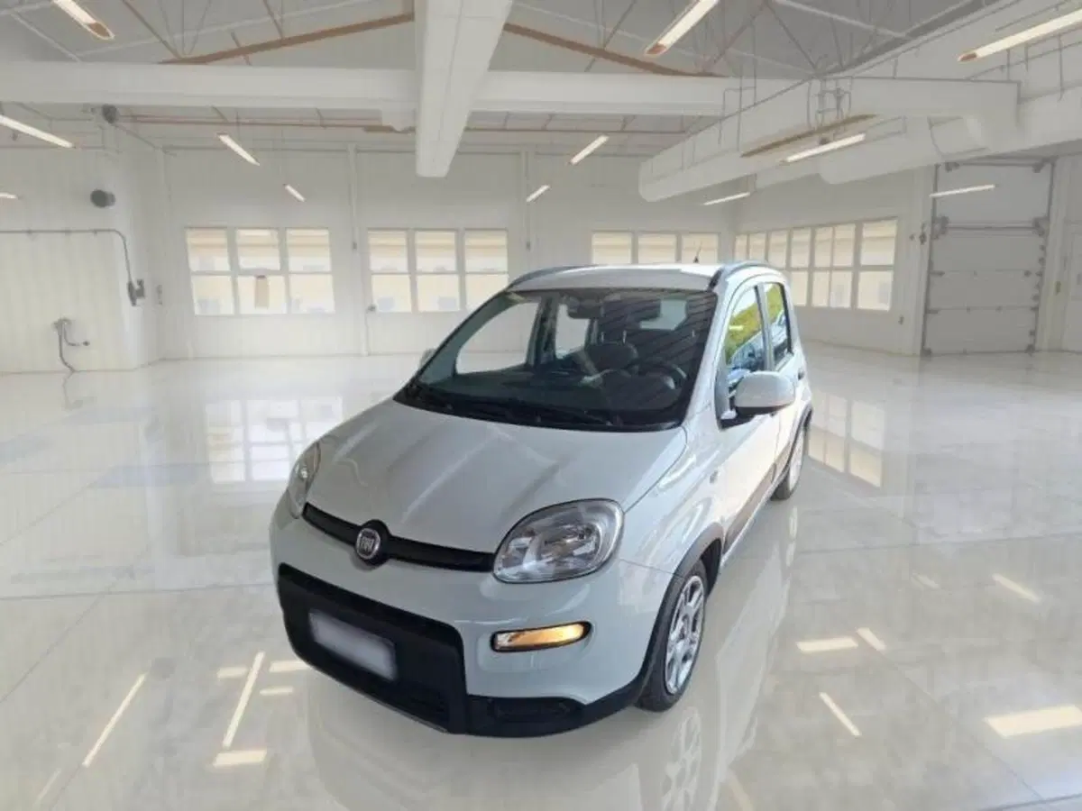 Fiat Panda usata a Ancona (2)
