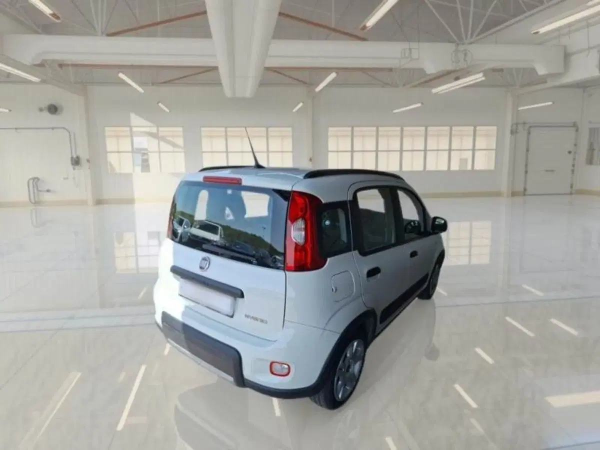 Fiat Panda usata a Ancona (3)
