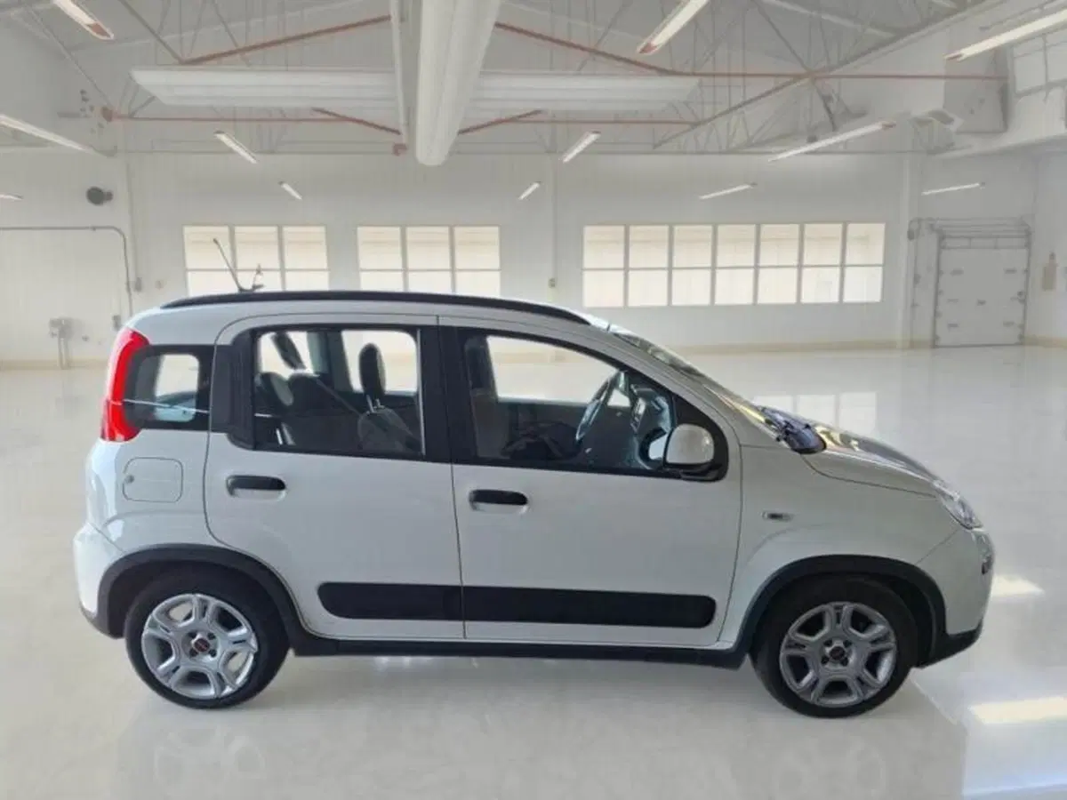 Fiat Panda usata a Ancona (4)
