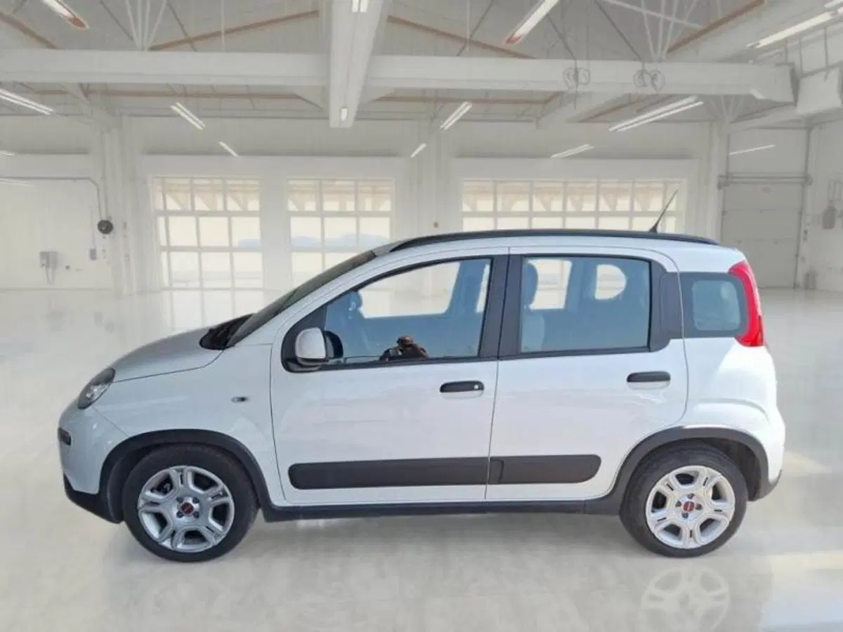 Fiat Panda usata a Ancona (5)