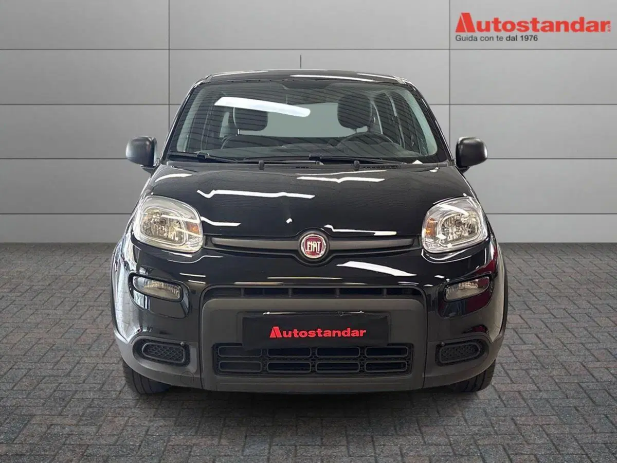 Fiat Panda usata a Torino (2)