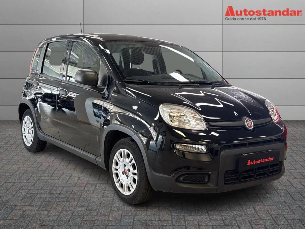 Fiat Panda usata a Torino (3)