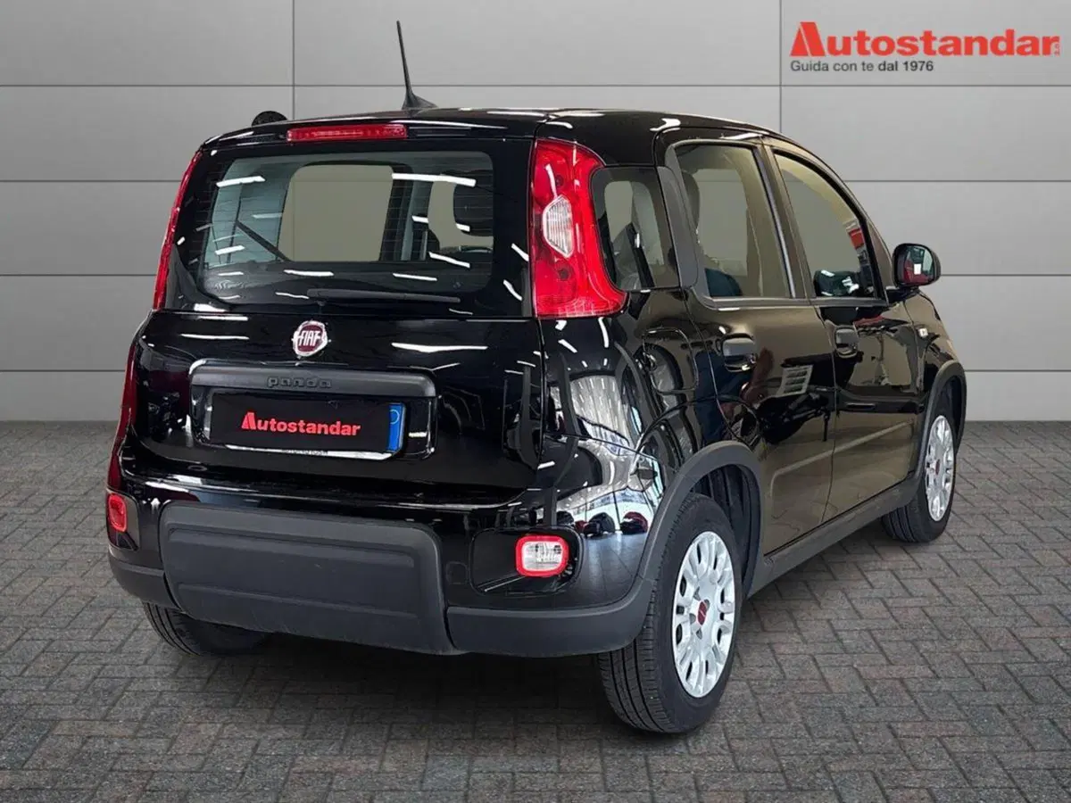 Fiat Panda usata a Torino (6)