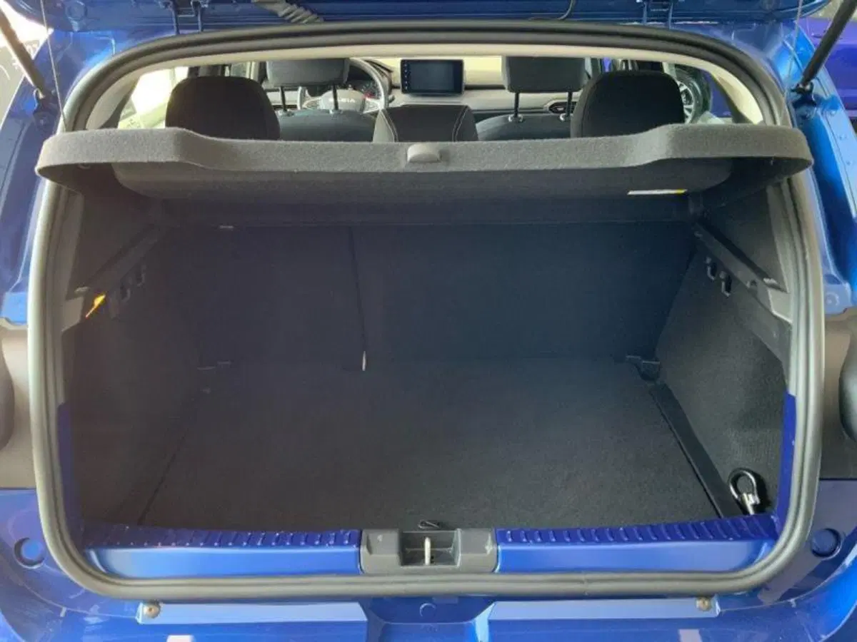 Dacia Sandero usata a Perugia (13)