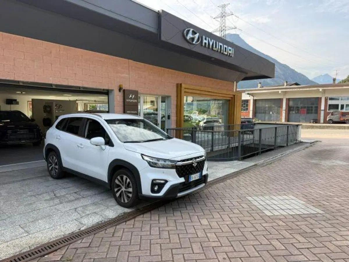 Suzuki S-Cross usata a Verbano Cusio Ossola