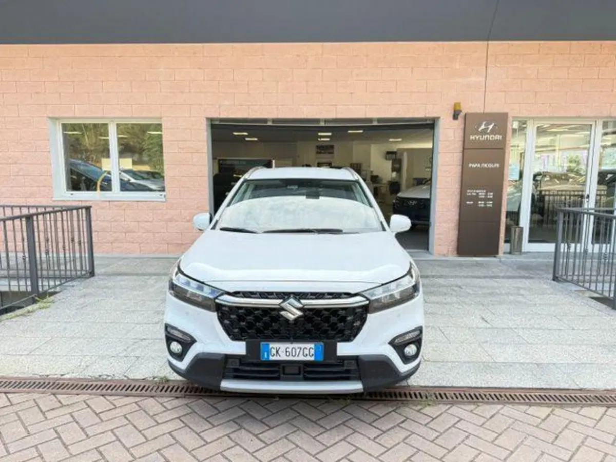 Suzuki S-Cross usata a Verbano Cusio Ossola (2)