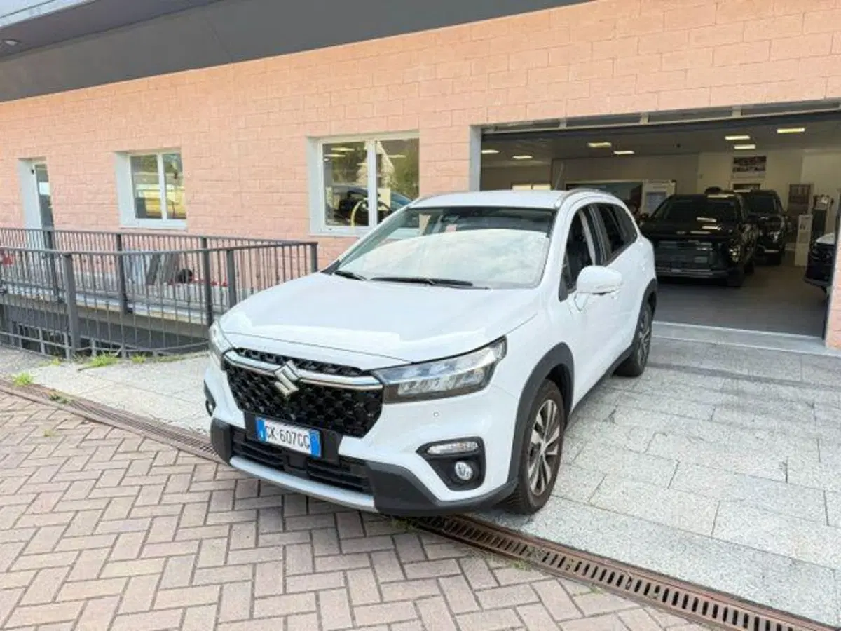 Suzuki S-Cross usata a Verbano Cusio Ossola (3)
