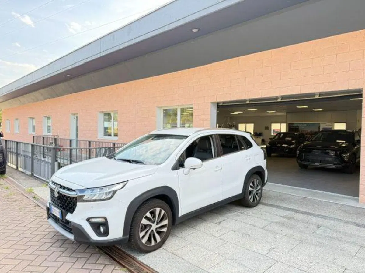 Suzuki S-Cross usata a Verbano Cusio Ossola (4)