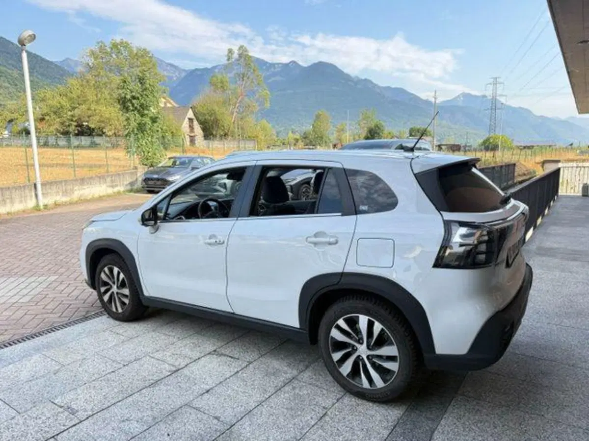 Suzuki S-Cross usata a Verbano Cusio Ossola (6)