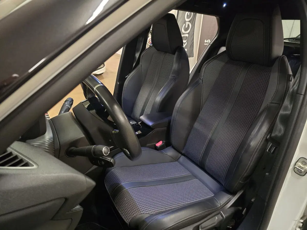 Peugeot 2008 usata a Rimini (16)