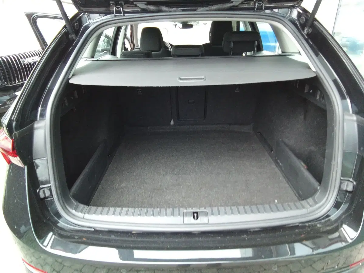 Skoda Octavia Station Wagon usata a Rimini (12)