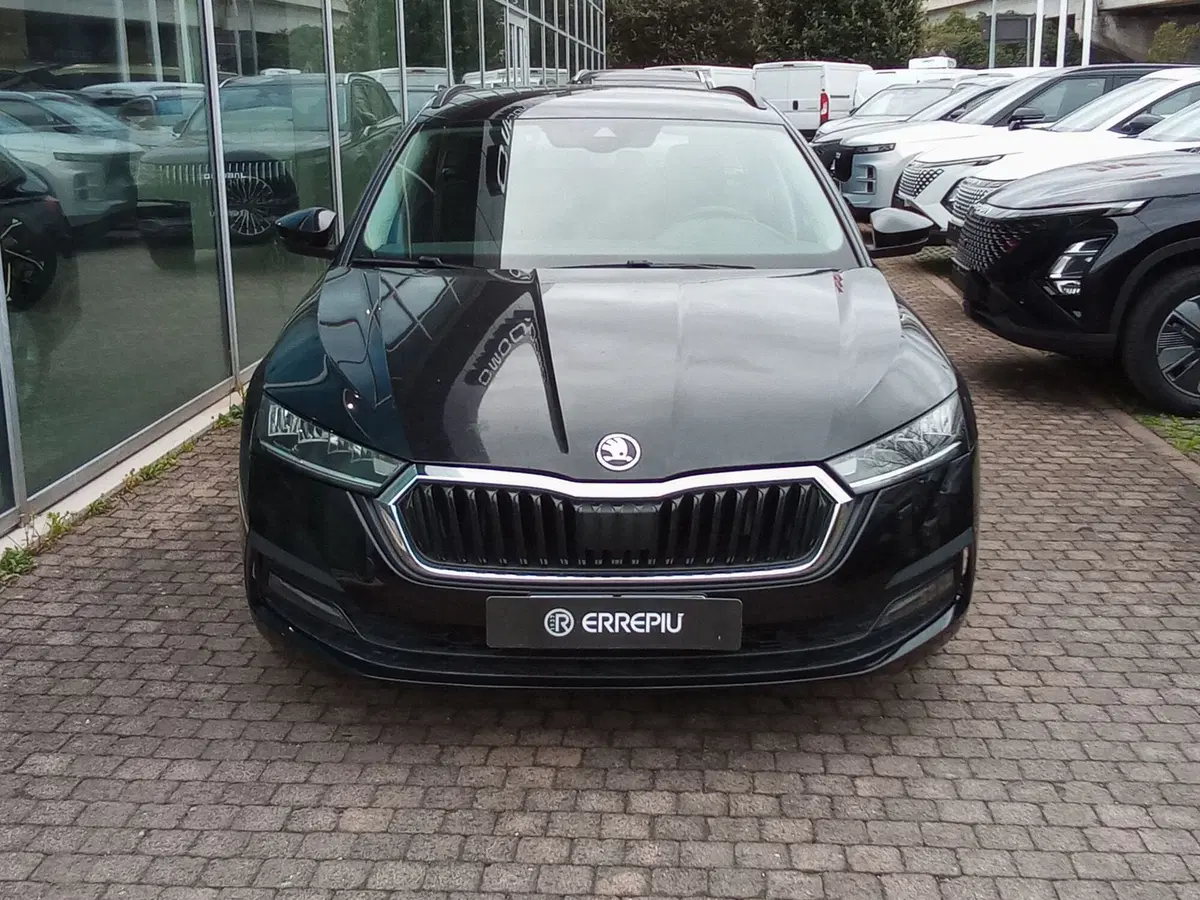 Skoda Octavia Station Wagon usata a Rimini (3)
