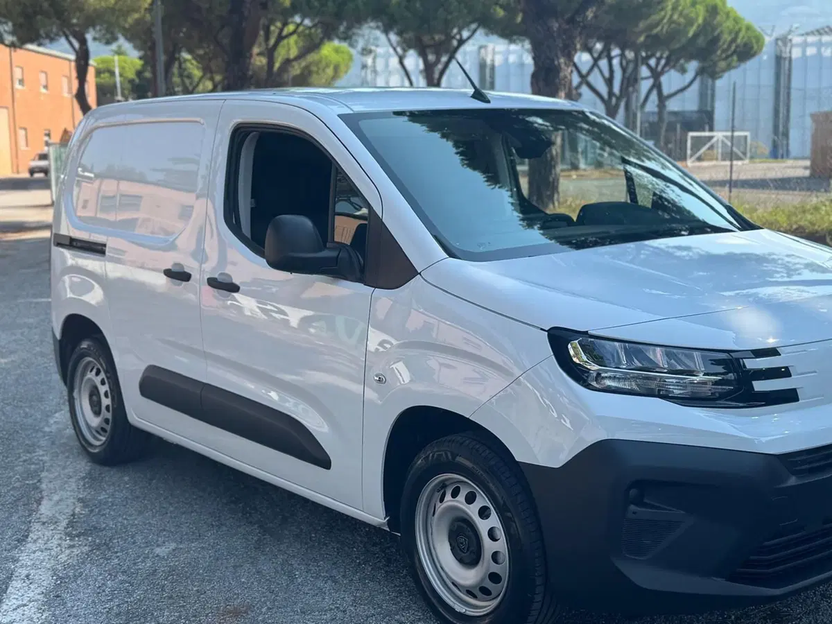 Peugeot Partner Furgone nuova a Massa-Carrara (18)