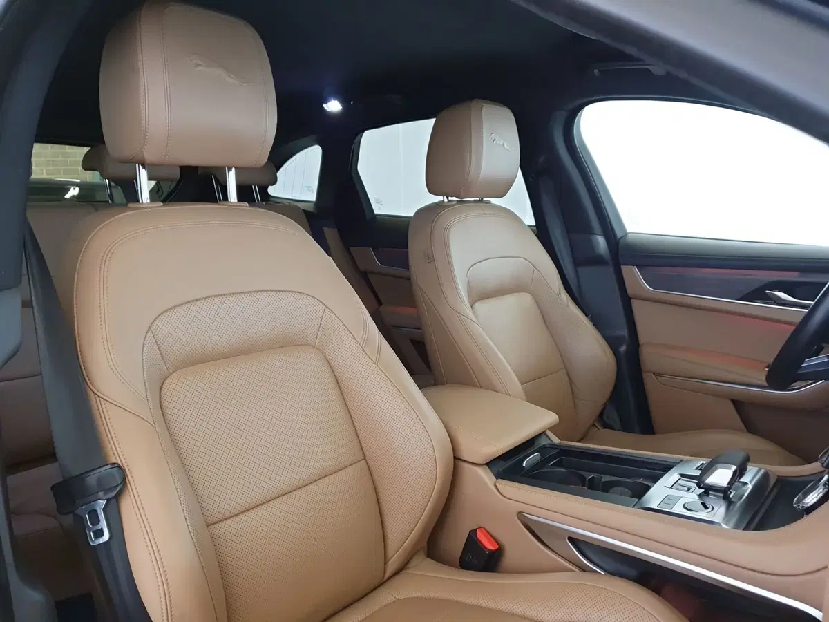 Jaguar F-Pace usata a Monza e Brianza (14)