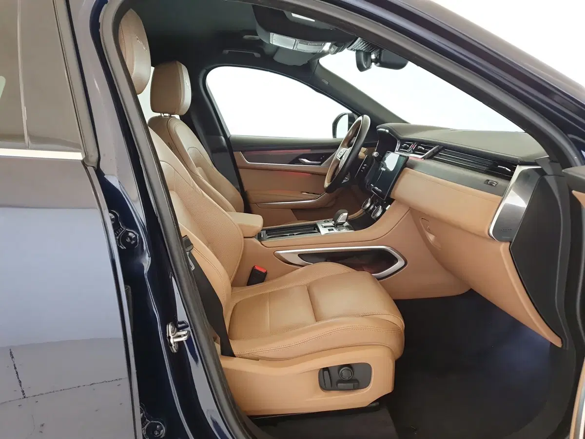 Jaguar F-Pace usata a Monza e Brianza (3)
