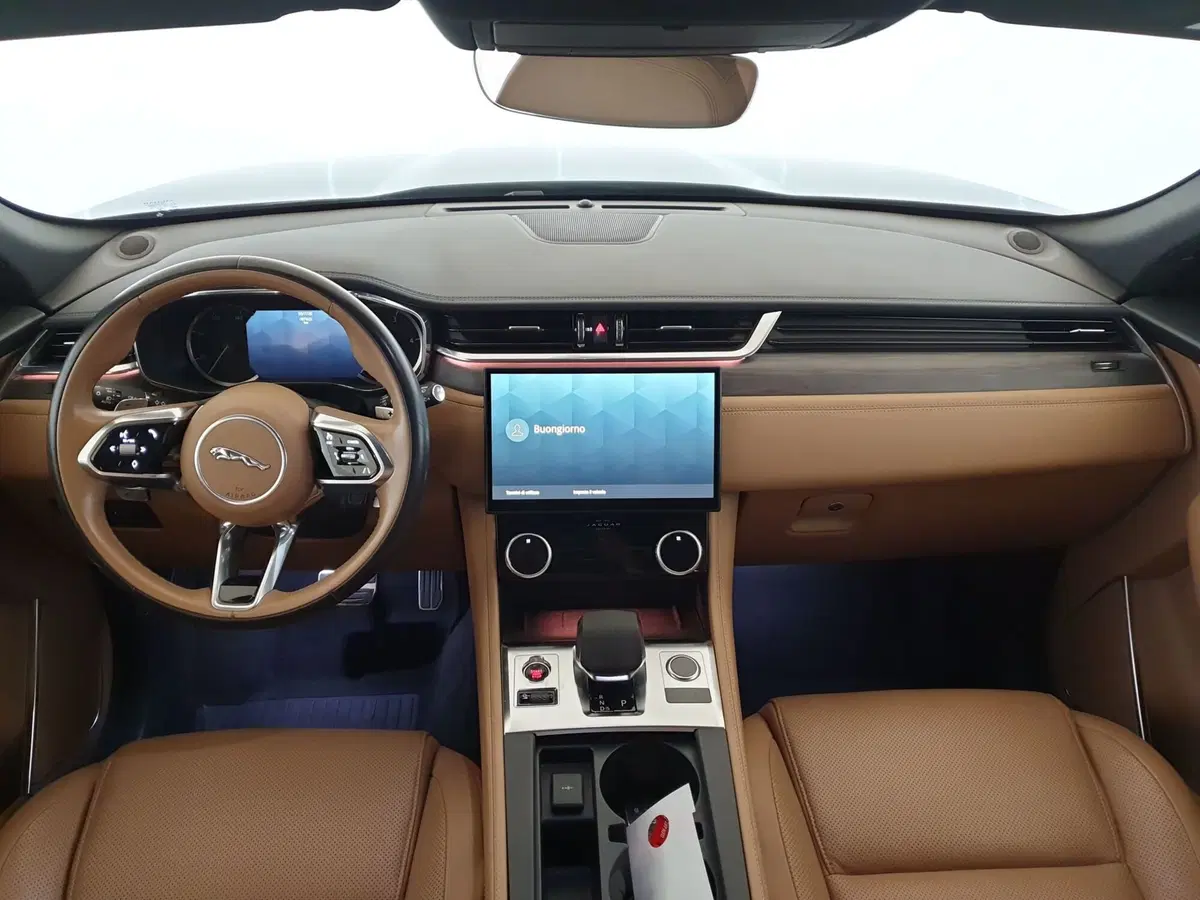 Jaguar F-Pace usata a Monza e Brianza (4)