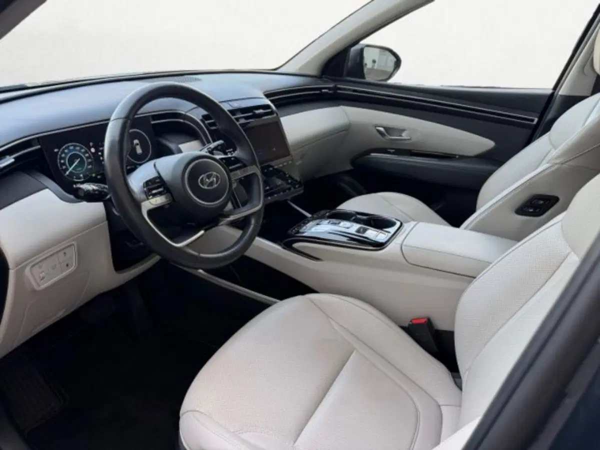 Hyundai Tucson usata a Treviso (10)