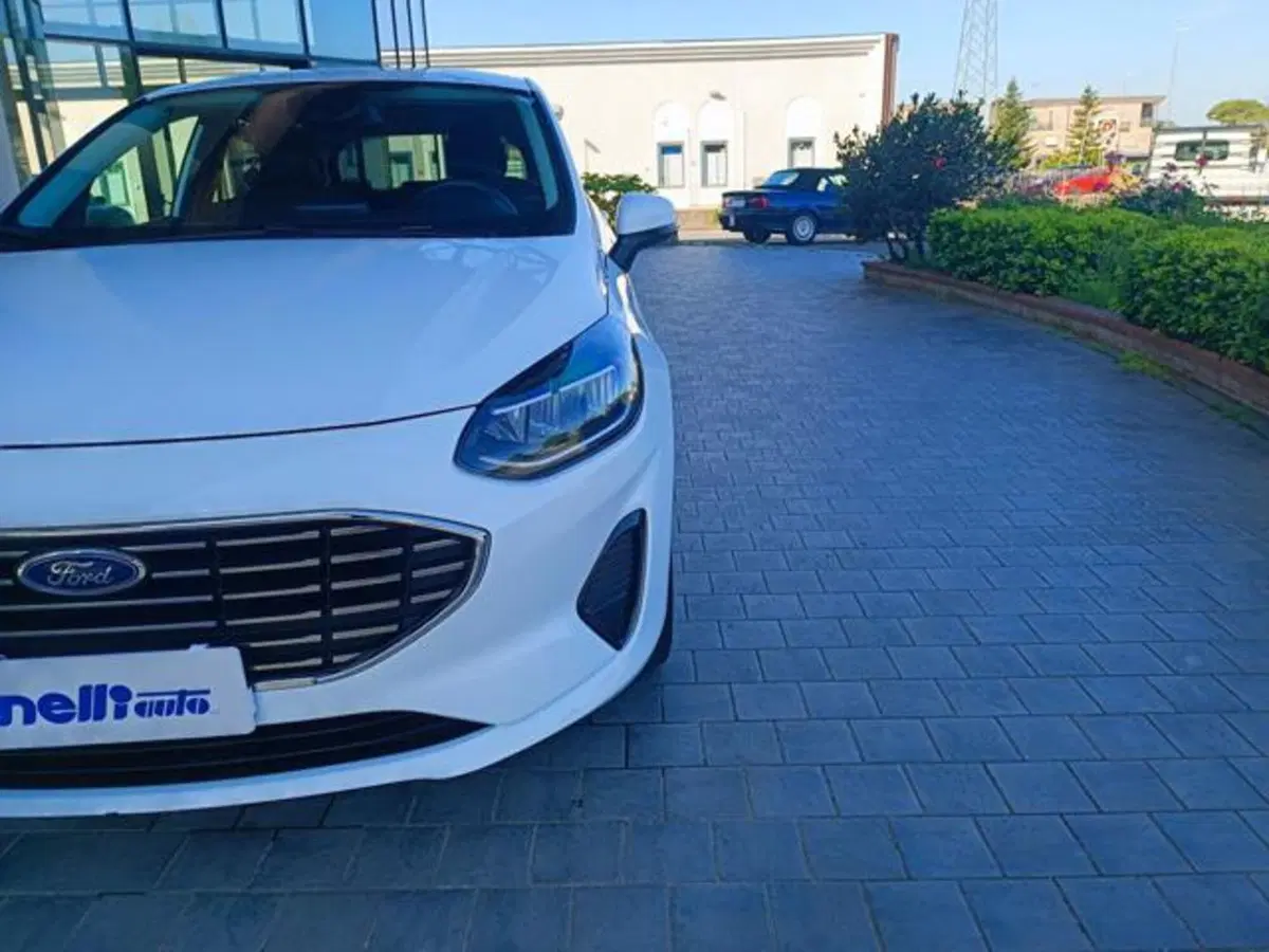 Ford Fiesta usata a Pisa (8)