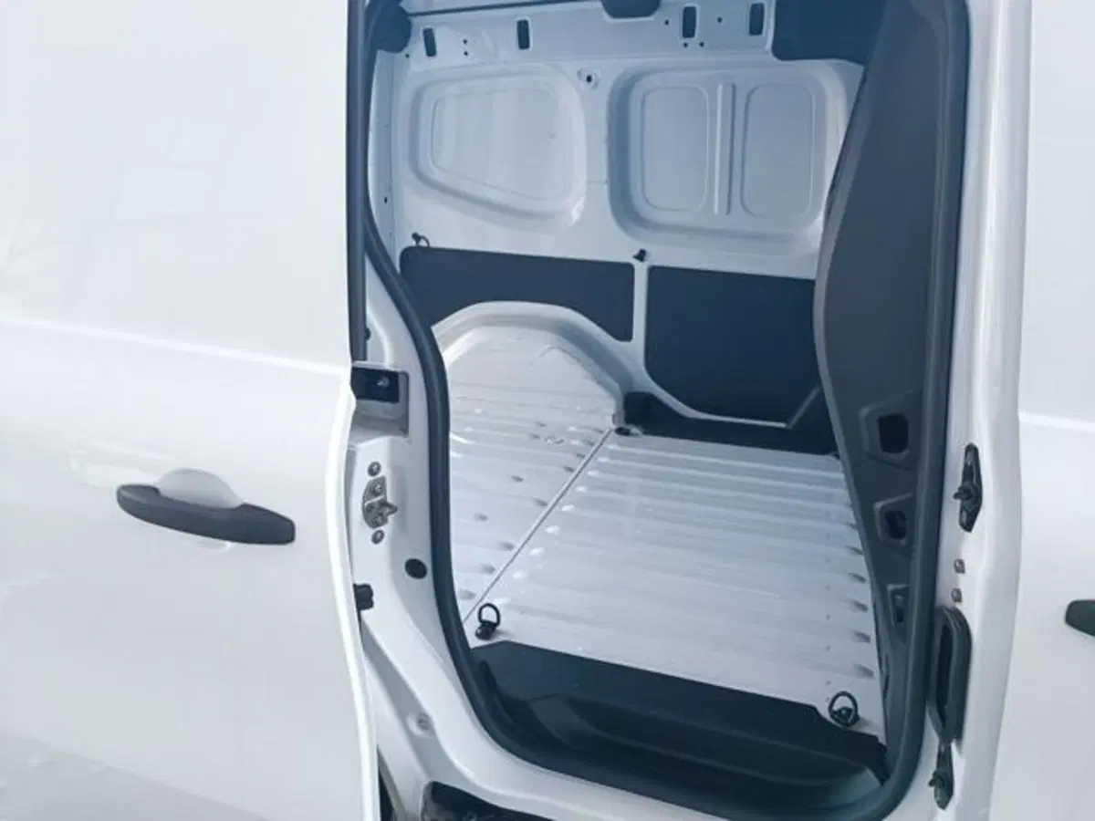 Renault Kangoo usata a Pisa (7)