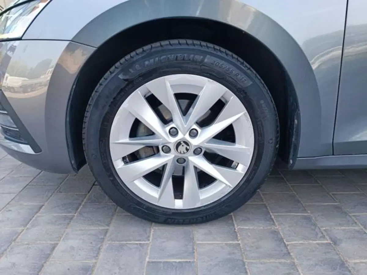 Skoda Octavia Station Wagon usata a Pisa (10)