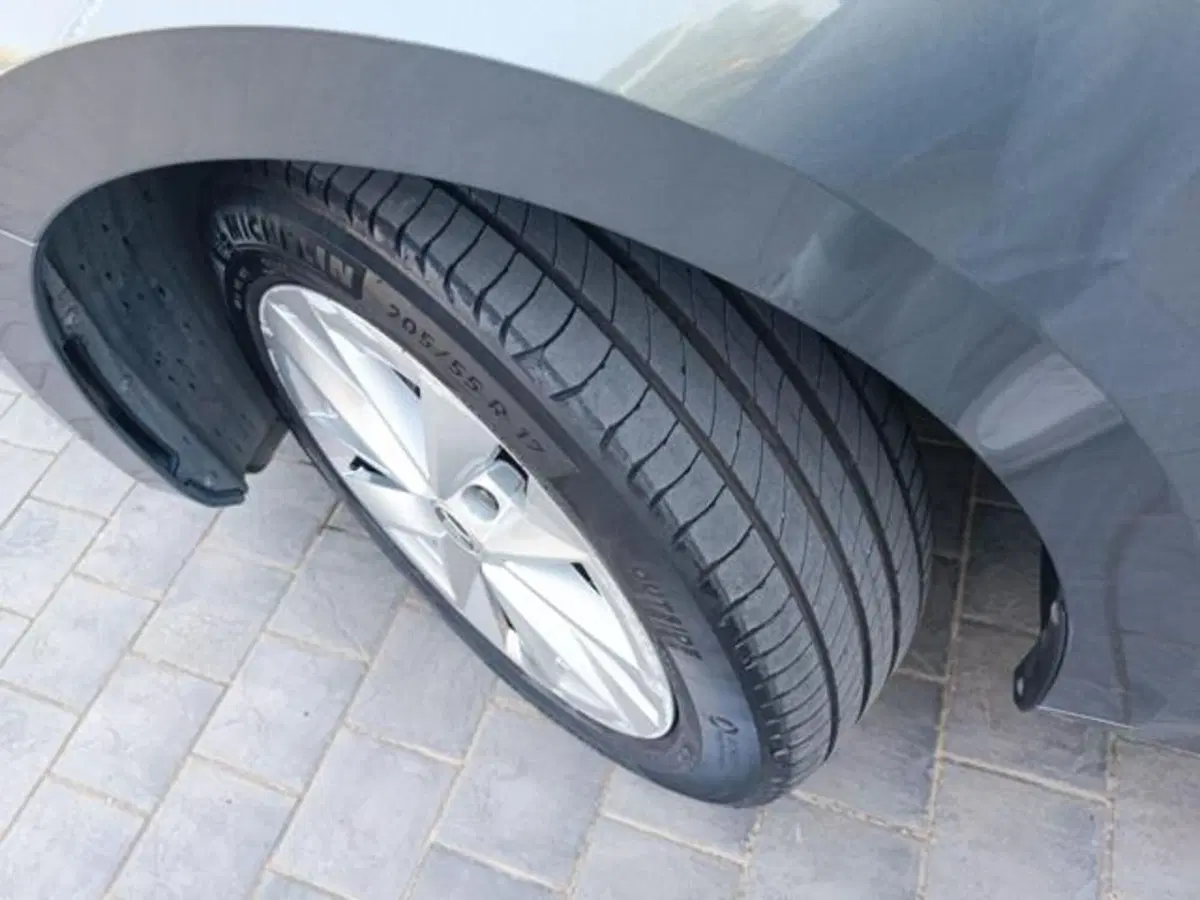 Skoda Octavia Station Wagon usata a Pisa (2)