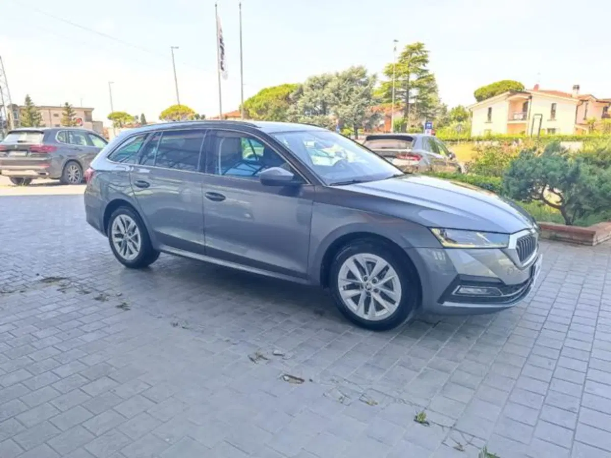 Skoda Octavia Station Wagon usata a Pisa (3)