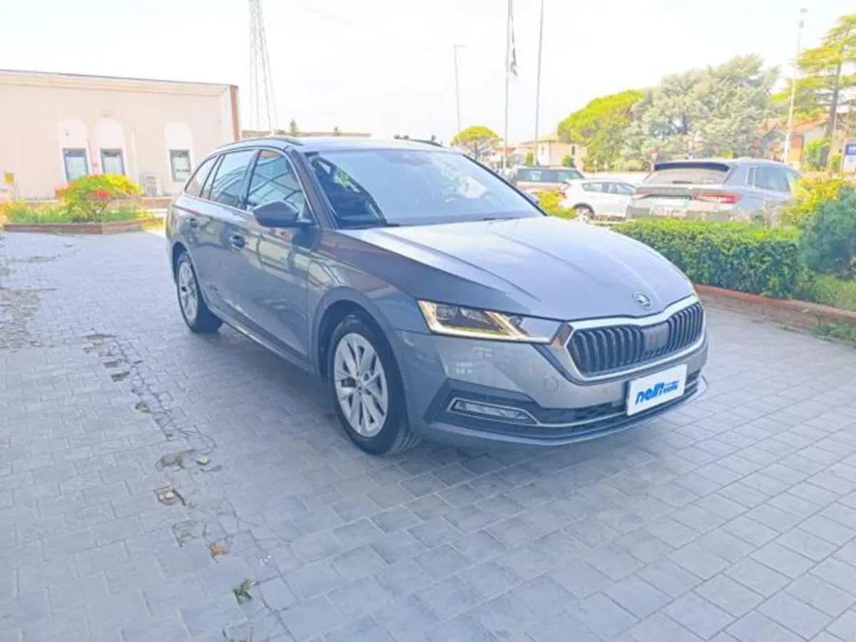 Skoda Octavia Station Wagon usata a Pisa (5)