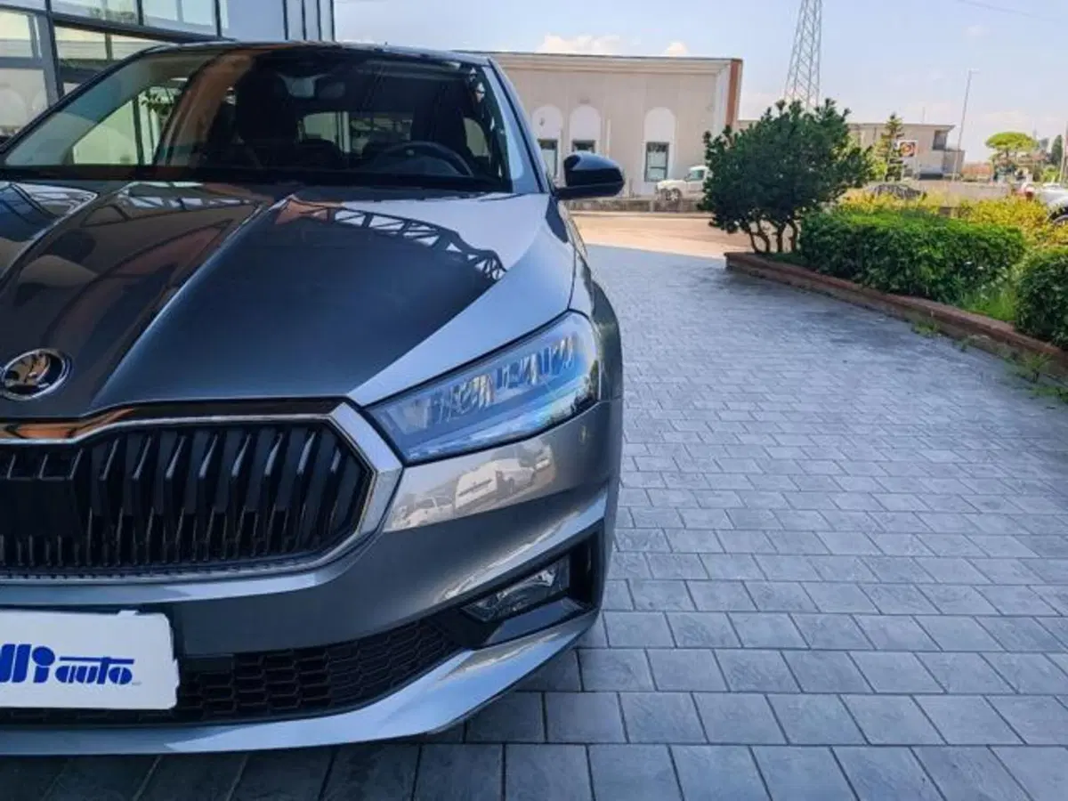 Skoda Fabia usata a Pisa (18)