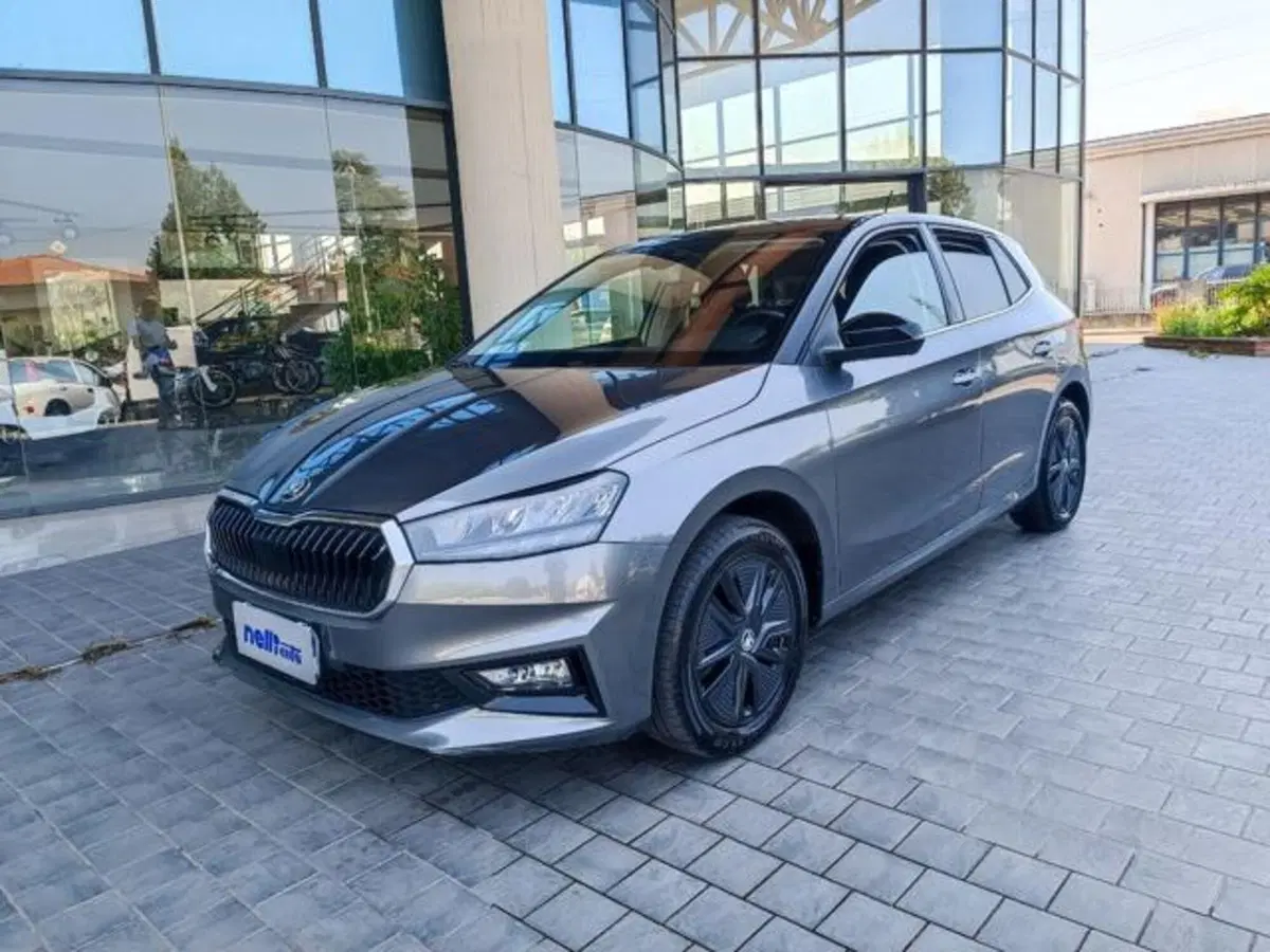 Skoda Fabia usata a Pisa (19)