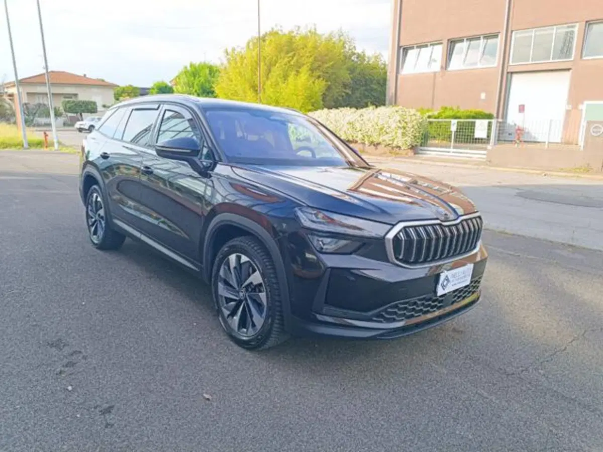 Skoda Kodiaq usata a Pisa (19)