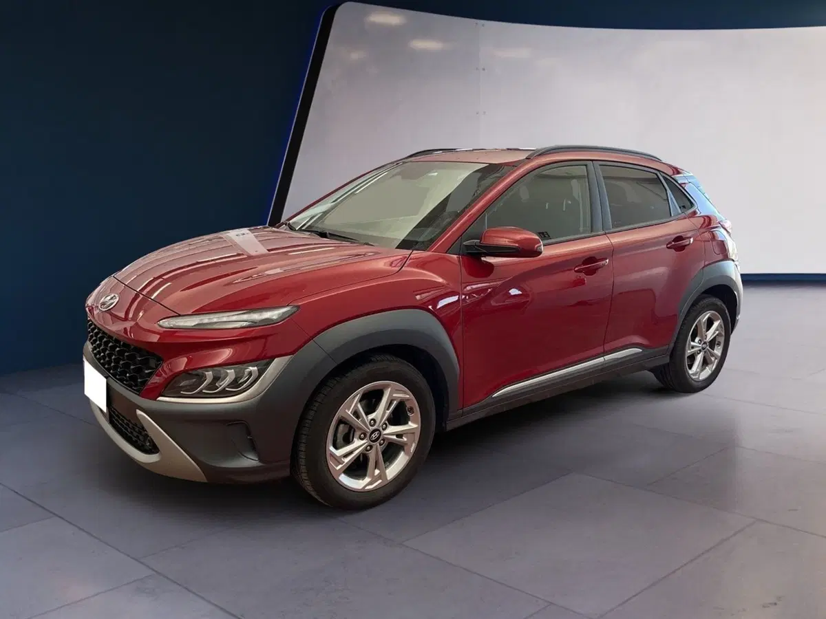 Hyundai Kona usata a Torino (3)
