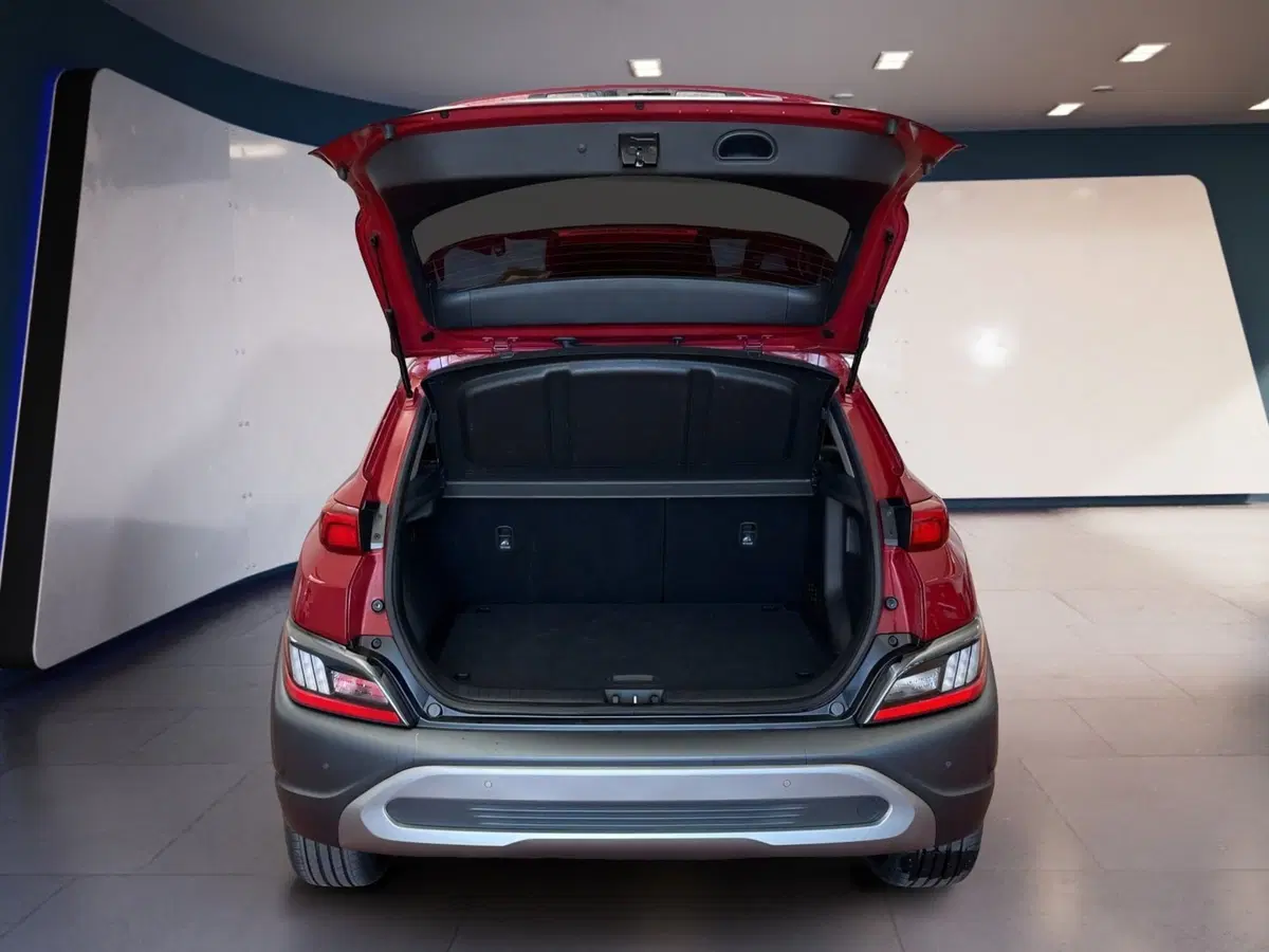 Hyundai Kona usata a Torino (8)