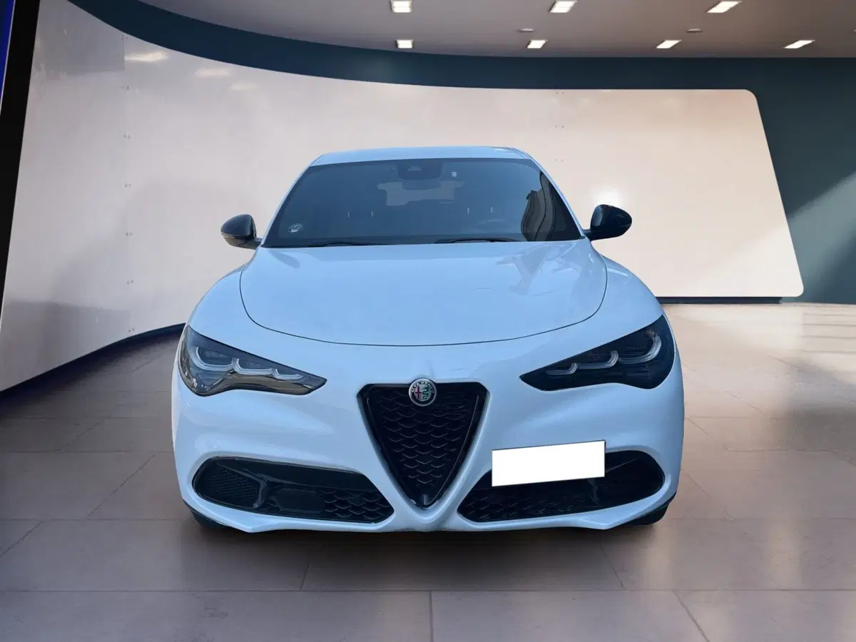 Alfa Romeo Stelvio usata a Torino
