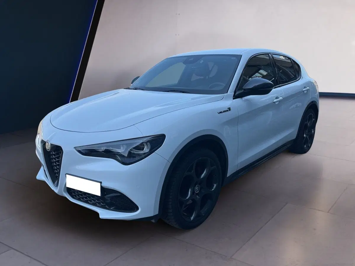 Alfa Romeo Stelvio usata a Torino (2)