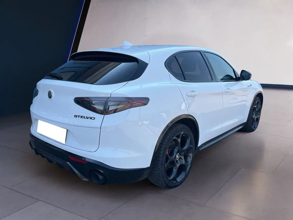 Alfa Romeo Stelvio usata a Torino (4)