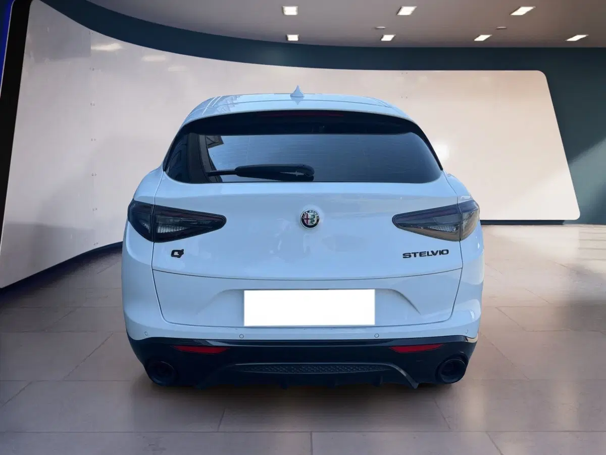 Alfa Romeo Stelvio usata a Torino (5)
