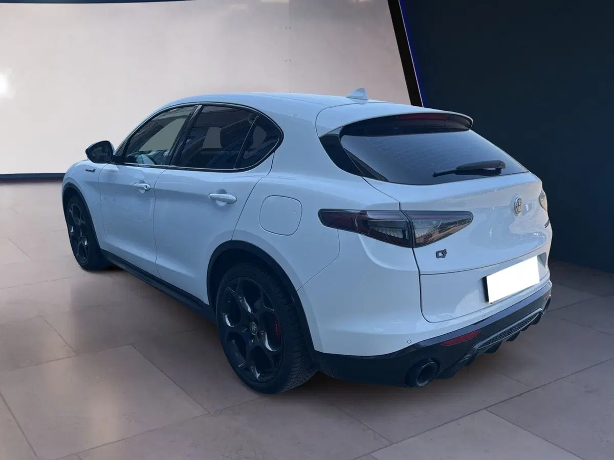 Alfa Romeo Stelvio usata a Torino (6)